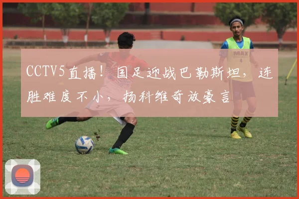 CCTV5直播！国足迎战巴勒斯坦，连胜难度不小，扬科维奇放豪言