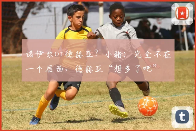 诺伊尔or德赫亚？小猪：完全不在一个层面，德赫亚“想多了吧”