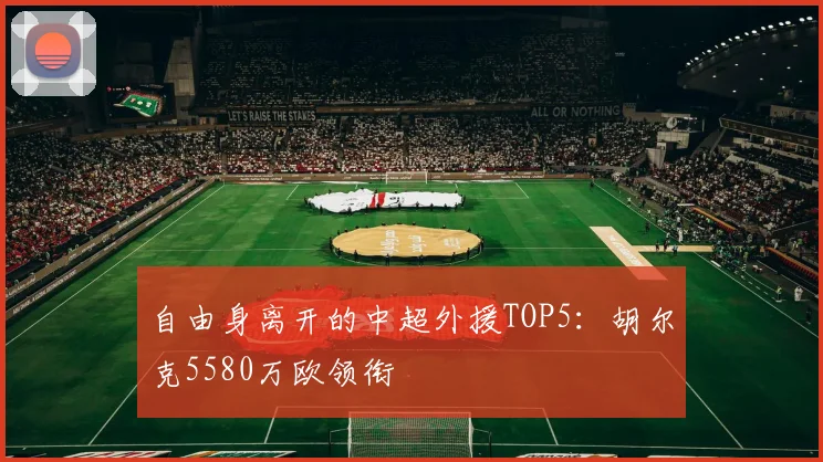 自由身离开的中超外援TOP5：胡尔克5580万欧领衔