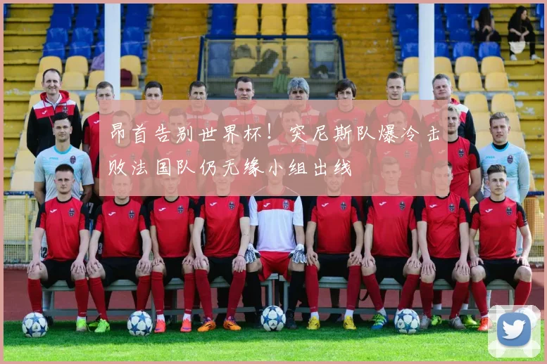 昂首告别世界杯！突尼斯队爆冷击败法国队仍无缘小组出线