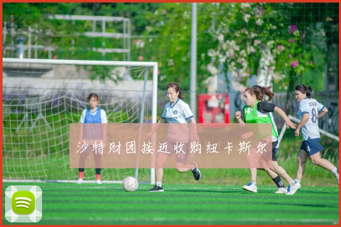 沙特财团接近收购纽卡斯尔